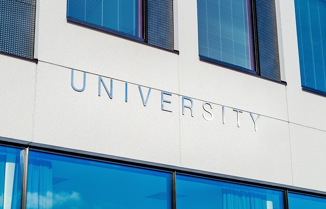 univerzita